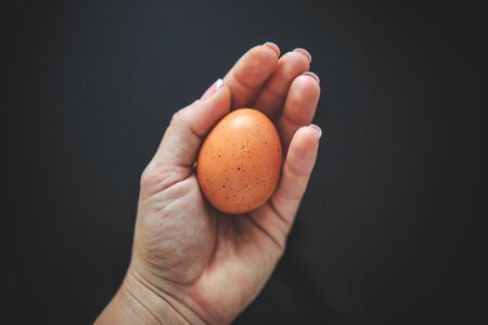 Chicken egg in the shell on black background holding in hand.の写真素材