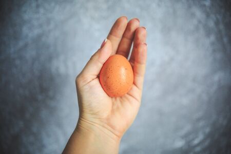 Chicken egg in the shell on gray and white background holding in hand.