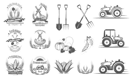 A set of logos,labels, stamps, badges for organic food. Vector illustration of Healthy eco bio food. Collection of symbols for farm, ranch, shop, market.のイラスト素材