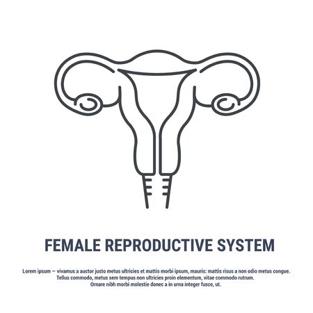 Vector icon. Line design. Female reproductive organ, uterus, ovaries. Anatomical structure of man. Disease and treatment. Symbol, element, sign, emblem. Concept illustration.のイラスト素材