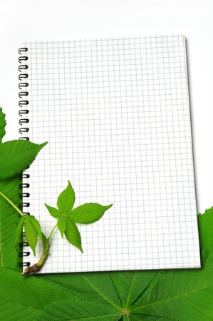 Notepad and green chestnut leaves  の写真素材