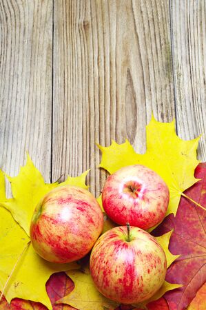 Apples and autumn maple leaves on a wooden backgroundの写真素材