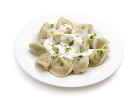 Dumplings on a plate on a white backgroundの写真素材