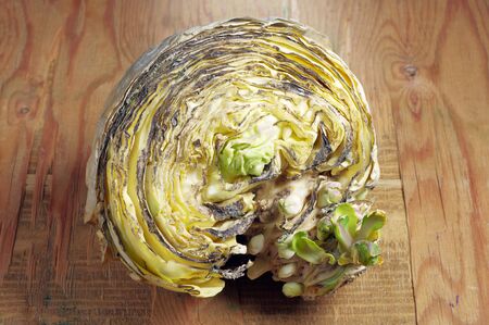 Rotten cabbage on the wooden tableの写真素材