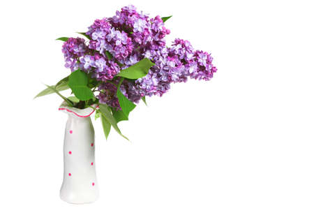 Flowers lilac in a vase isolated on white backgroundの写真素材