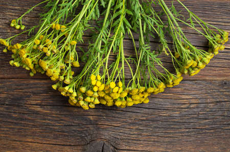 Bouquet of tansy flowers on a old wooden background, top view. Medicinal plantsの写真素材