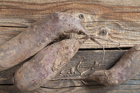 Dirty long beetroots on rustic wooden background, top view