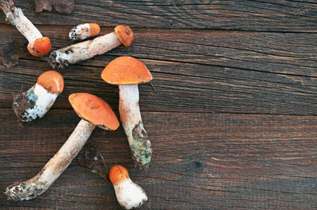 Orange-cap boletus mushrooms on old wooden background, top view. Space for text