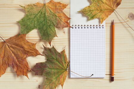 Notepad with a pencil and autumn leaves on a light wooden background, top view
