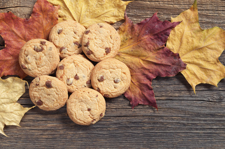 Chocolate chip cookies on autumn maple leaves is located on a old wooden background, top viewの写真素材
