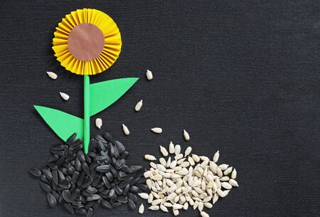 Sunflower made of paper and seeds on black stone background, top view with space for text. Conceptual photoの写真素材