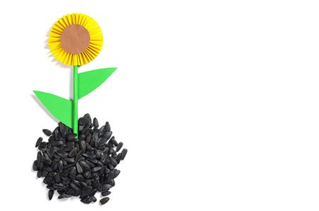 Sunflower made of paper and seeds on a white background. Top view with space for text. Conceptual photoの写真素材