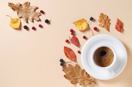 Cup of coffee and autumn leaves on a beige background, top view with space for textの写真素材