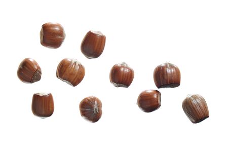 Filberts in shell isolated on a white background, top view