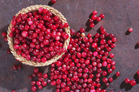 Freshly picked red cranberry in a bowl and near on rusty metal background, top viewの写真素材