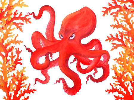 Red angry cartoon octopus between the corals. Isolated watercolor illustration. Clipartの写真素材