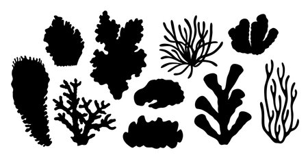 Watercolor set of corals silhouettes. Underwater life. Marine plants isolated on white for water entertainment places, parks, beaches design. Underwater flora hand painted cartoon style illustration.の写真素材