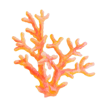 Watercolor illustration of a red coral. Hand drawn marine animal. Underwater world isolated object on white background for design of postcards, posters, stickers, t-shirts prints, patternsの写真素材