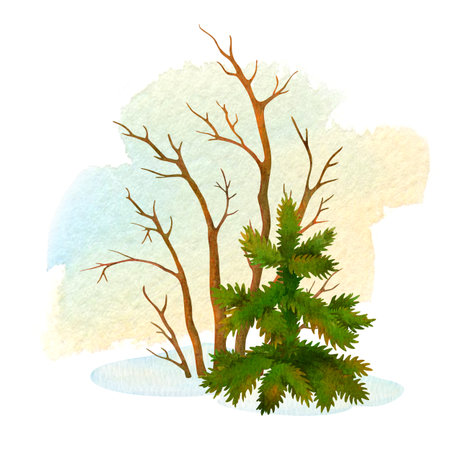 Simple winter or fall scenery. Nature composition of hand painted small spruce tree and leafless bush on isolated watercolor spot background for postcard or cover design. Good for textile decoratingの写真素材