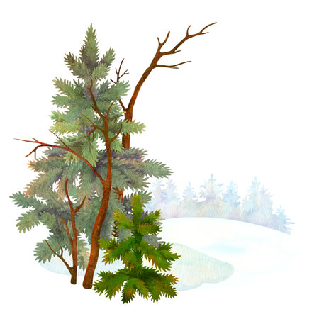 Simple winter scenery. Nature composition of watercolor spruce or fir trees and leafless bare tree on conifer forest silhouette background for postcard or cover design. Good for textile decoratingの写真素材