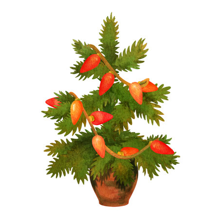 Small conifer or fir decorated with garlands in brown pot. Holiday decoration concept. Isolated watercolor illustration of Christmas tree for winter festive banner, card, pattern or ornament.の写真素材