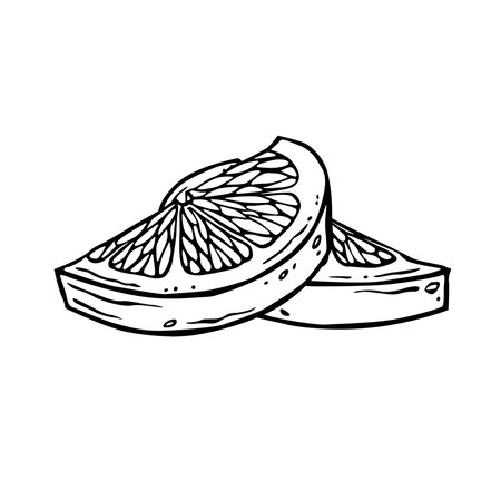 Lemon pieces illustration. Hand drawn ink graphic of citrus fruit. Linear drawing of lime. Outline sketch of citron. Black line art of chopped grapefruit for kitchen textiles, packaging or labelのイラスト素材