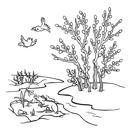 Spring landscape. Hand drawn outline seasonal illustration with melting snow, stream, thawed patch, blooming willow bush, mouse sniffing snowdrop and singing birds. Signs of Spring Coloring Page.のイラスト素材