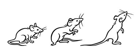 Mouse. Set of black and white outline rats silhouettes in different poses, emotions and movements. Hand drawn contour sketch of rodents for coloring books, postcards, printingのイラスト素材