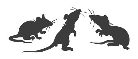 Mouse. Set of black isolated rats hand drawn spot silhouettes in different poses, emotions and movements. Contour free hand sketch of rodents for coloring books, postcards, printingのイラスト素材