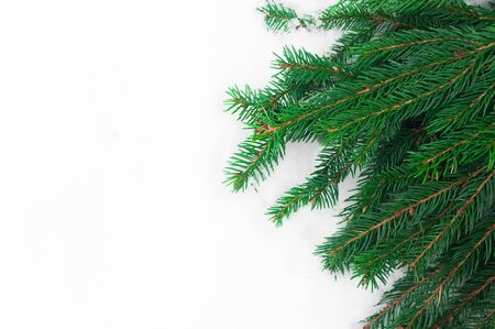 green fir-tree branches on snow background, christmas treeの写真素材