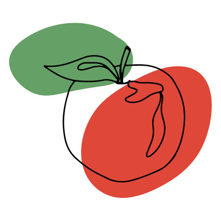 Apple fruit isolated on white background in line art style, doodle. Lines and abstract spots, leaves. Vector illustration drawn by hands in one line.のイラスト素材