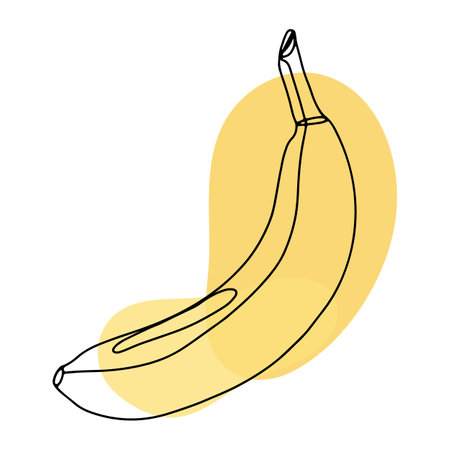 Banana fruit isolated on white background in line art style, doodle. Lines and abstract spots, leaves. Vector illustration drawn by hands in one line.のイラスト素材