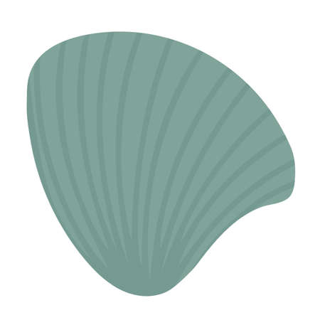 Sea shell. Seashell, a mollusc living in the sea. Hand drawn vector illustration. Isolated object, element on a white backgroundのイラスト素材