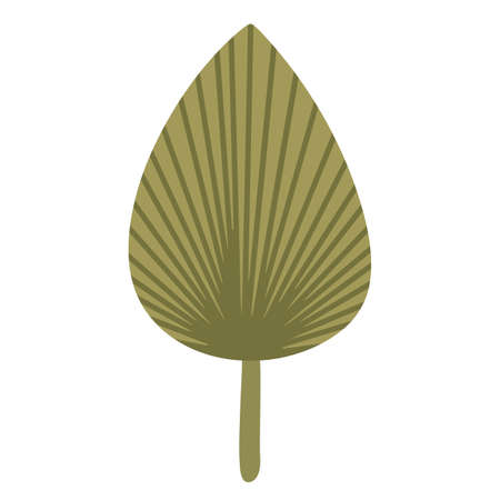 Green leaf of exotic tropical plant. Hand drawn vector illustration. Isolated element on a white background.のイラスト素材