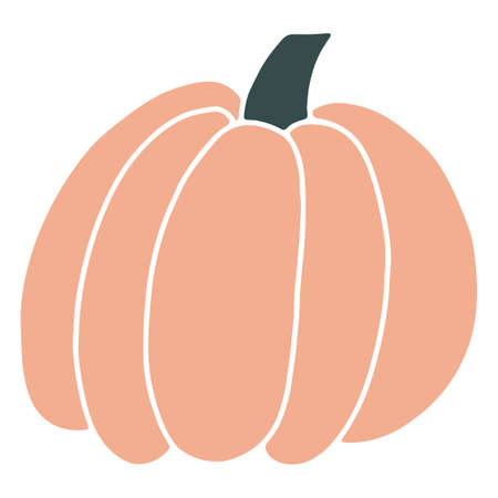 Halloween pumpkin. Hand drawn vector illustration. Isolated element on a white backgroundのイラスト素材