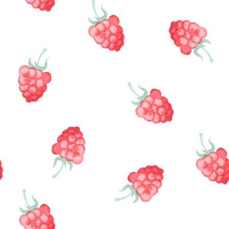 Cute bright watercolor plant pattern with hand drawn raspberriesの写真素材