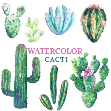 Set of hand drawn watercolor cacti.の写真素材