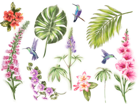 Set of tropical palm leaves and flower and hummingbird fluttering in the air hand drawn. Foxglove, lupine.の写真素材