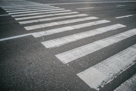 Striped white zebra on gray asphalt across the streetの写真素材
