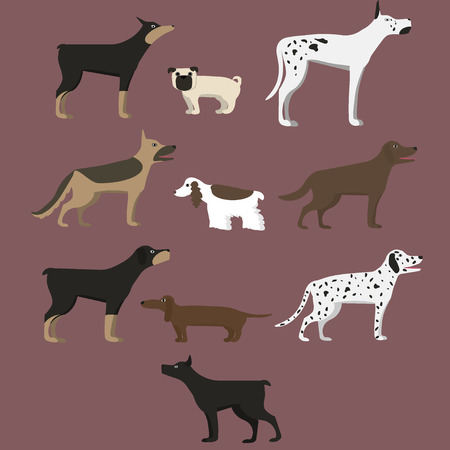 Set of different dogsのイラスト素材
