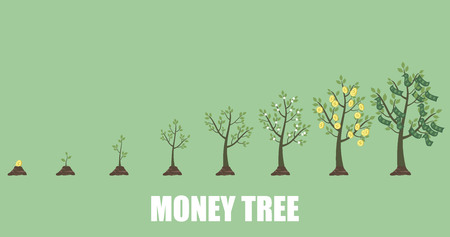 Growing Money Tree in progressのイラスト素材