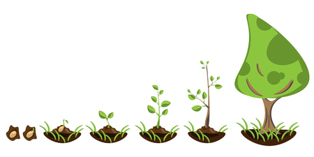 Seedling gardening plant. Seeds sprout in ground.のイラスト素材