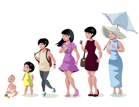 Woman stages of development on white backgroundのイラスト素材