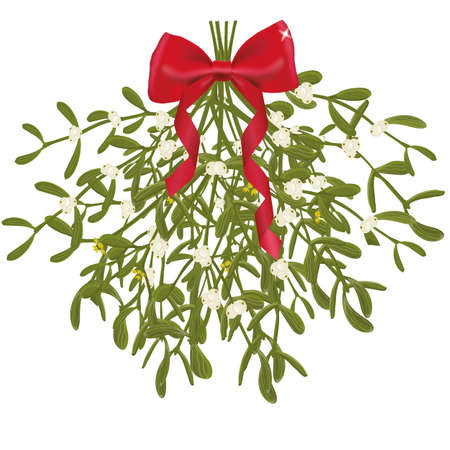 Mistletoe bunch with red ribbon.のイラスト素材