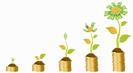 Five stages of growing money flower.のイラスト素材