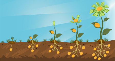 Five stages of growing a money flower with roots on a sky backgroundのイラスト素材
