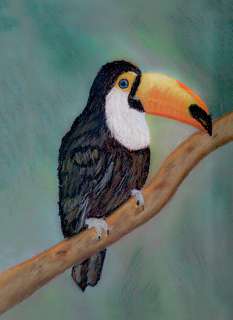An art work of a toucan sitting on a tree branch. A picture was drawn with soft pastel on a burgundy colored paper for pastel.の写真素材