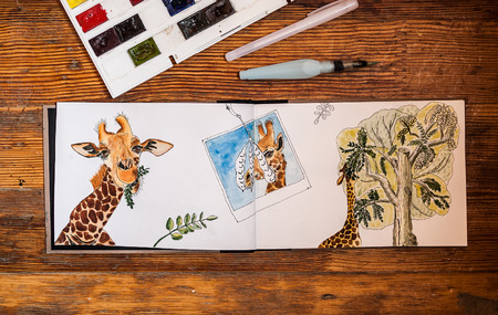 Closeup of watercolor giraffe, eating leaves from acacia tree, hand drawn in sketchbook. Sketchbook, watercolor, liner and brush are on wooden table with copy space. Concept - art is hobby.の写真素材