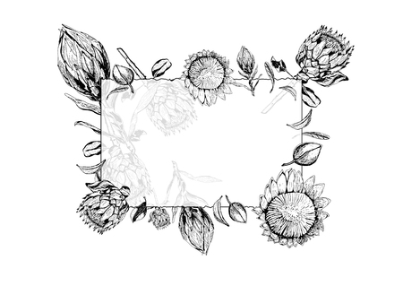 Vector illustration of transparent glass frame with king protea flowers, buds and leaves around it.  Protea, South Africa symbol, isolated on white background. Greeting card with tropical flora hand drawn in black and white.のイラスト素材