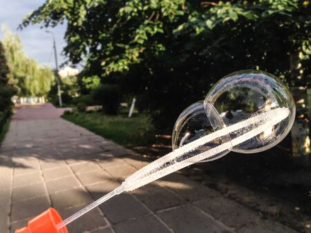 Inflated soap bubble on the city street. The beautiful dubble soap bubble in a green city park alley, background with space for text.の写真素材